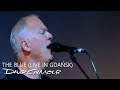 David Gilmour - The Blue (Live In Gdańsk)